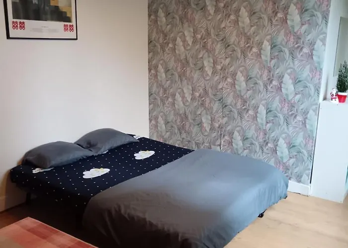 F2 Meuble Rer B La Place/ Gentilly, Proche 75014, Parking Libre, Cc Vache Noir, Complexe Sportif Raspail